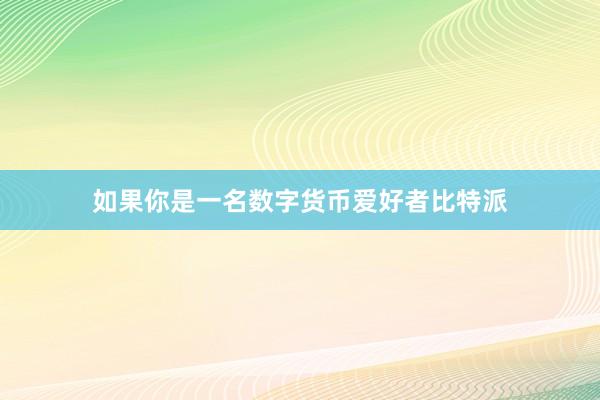 如果你是一名数字货币爱好者比特派