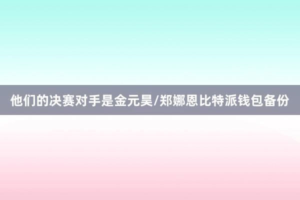 他们的决赛对手是金元昊/郑娜恩比特派钱包备份