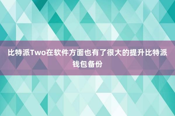 比特派Two在软件方面也有了很大的提升比特派钱包备份