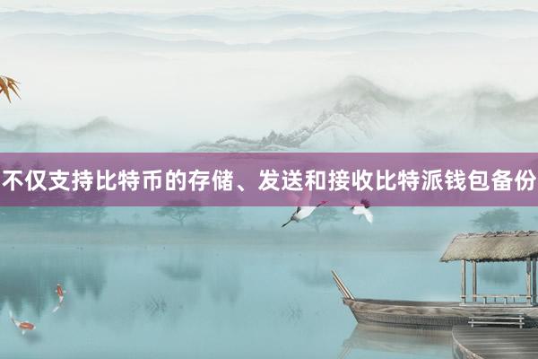 不仅支持比特币的存储、发送和接收比特派钱包备份