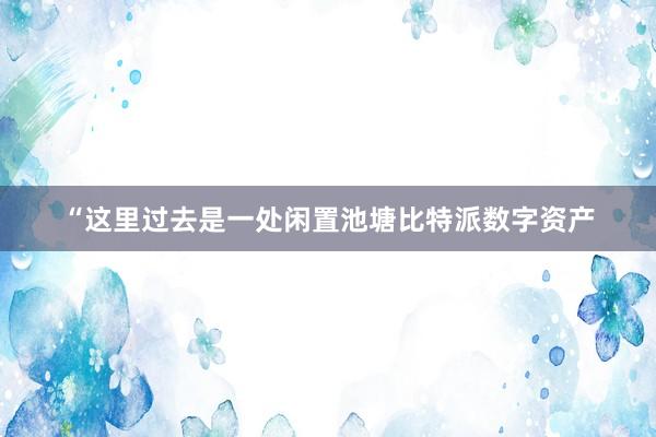 “这里过去是一处闲置池塘比特派数字资产