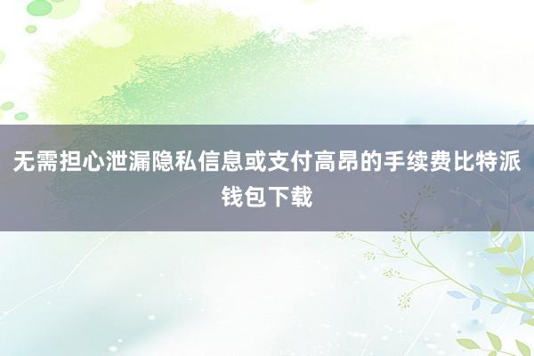 无需担心泄漏隐私信息或支付高昂的手续费比特派钱包下载