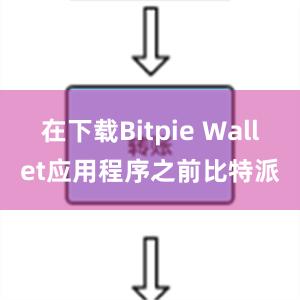 在下载Bitpie Wallet应用程序之前比特派