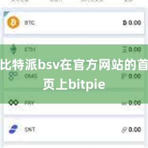 比特派bsv在官方网站的首页上bitpie