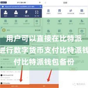 用户可以直接在比特派钱包上进行数字货币支付比特派钱包备份