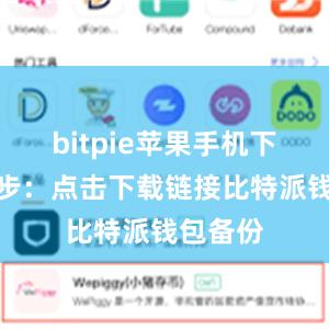 bitpie苹果手机下载第二步：点击下载链接比特派钱包备份